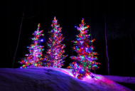 Lumini de Crăciun în aer liber/în interior 1000 LED multicolor - 220V/31V - 103m