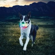 Glow ball pentru câini